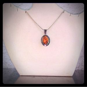 Signed Navajo Sterling Silver Authentic Amber Necklace
